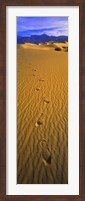 Framed Footprints, Death Valley National Park, California, USA