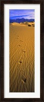 Framed Footprints, Death Valley National Park, California, USA