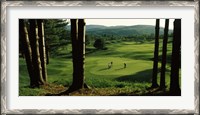 Framed Four people playing golf, Country Club Of Vermont, Waterbury, Washington County, Vermont, USA