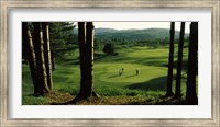 Framed Four people playing golf, Country Club Of Vermont, Waterbury, Washington County, Vermont, USA