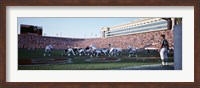Framed Football Game, Soldier Field, Chicago, Illinois, USA