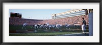 Framed Football Game, Soldier Field, Chicago, Illinois, USA