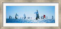 Framed Sailboat Race, Key West Florida, USA