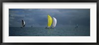 Framed Sailboat race Key West, Florida