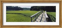 Framed Boardwalk in a field, Nauset Marsh, Cape Cod, Massachusetts, USA