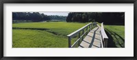 Framed Boardwalk in a field, Nauset Marsh, Cape Cod, Massachusetts, USA