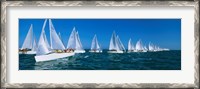 Framed Sailboats racing in the ocean, Key West, Florida