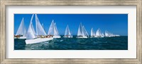 Framed Sailboats racing in the ocean, Key West, Florida