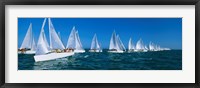 Framed Sailboats racing in the ocean, Key West, Florida