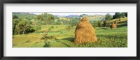 Framed Farm, Transylvania, Romania