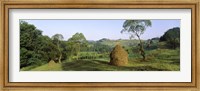 Framed Haystack at the hillside, Transylvania, Romania