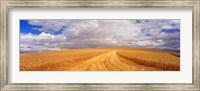 Framed Wheat Field, Washington State, USA