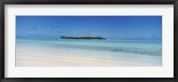 Framed Maina, Cook Islands
