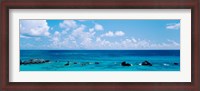 Framed Bermuda, Atlantic Ocean