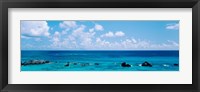 Framed Bermuda, Atlantic Ocean