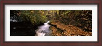 Framed Buttermilk Creek, Ithaca, New York State, USA