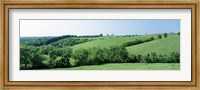 Framed Horse Farm, Kentucky, USA