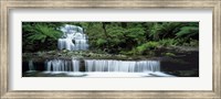 Framed Liffey Falls, Tasmania, Australia
