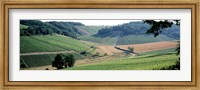 Framed France, Chablis, vineyards