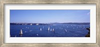 Framed Yachts in the bay, Sydney Harbor, Sydney, New South Wales, Australia
