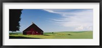 Framed Barn in a wheat field, Washington State (horizontal)