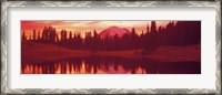 Framed Reflection of trees in water, Tipsoo Lake, Mt Rainier, Mt Rainier National Park, Washington State, USA