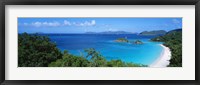 Framed Trunk Bay, St. John US Virgin Islands