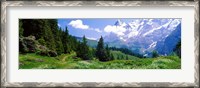 Framed Alpine Scene Near Murren Switzerland