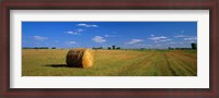 Framed Hay Bales, South Dakota, USA