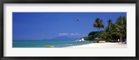 Framed White Sand Beach Penang Malaysia