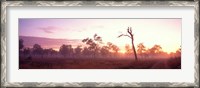 Framed Kakadu National Park Northern Territory Australia