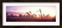 Framed Kakadu National Park Northern Territory Australia