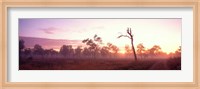 Framed Kakadu National Park Northern Territory Australia