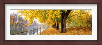 Framed Autumn Scene Munich Germany