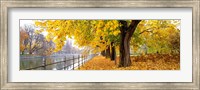 Framed Autumn Scene Munich Germany