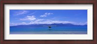 Framed Float Plane Hope Island Great Barrier Reef Australia
