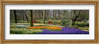 Framed Keukenhof Garden Lisse The Netherlands