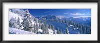 Framed Alpine Scene, Bavaria, Germany