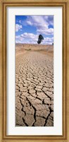 Framed Drought, Australia