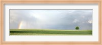 Framed Rainbow and storm clouds over a field, Zurich Canton, Switzerland