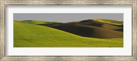Framed Wheat Field On A Landscape, Whitman County, Washington State, USA