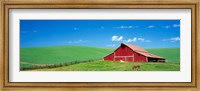 Framed Red Barn With Horses WA