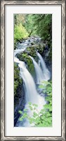 Framed Sol Duc Falls Olympic National Park WA