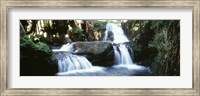 Framed Waterfalls Hilo HI