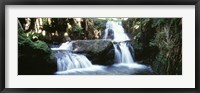 Framed Waterfalls Hilo HI