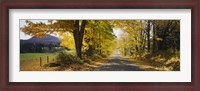 Framed Trees on both sides of a road, Danby, Vermont, USA