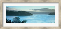 Framed Kenepuru, Marlborough Sound, New Zealand