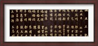 Framed Close-up of Chinese ideograms, Beijing, China
