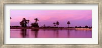 Framed Palm trees, Menara, Marrakech, Morocco