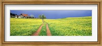 Framed Dirt road passing through a field, Germany
